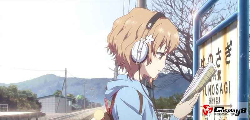 鲜花绽放的色泽