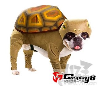 CosPlay最新图片