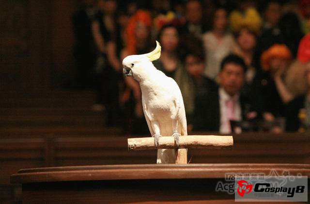 《逆转裁判》真人电影最新剧照放出