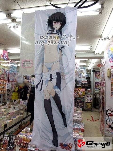 《电击G's Festival!》附录特典烂手抱枕套