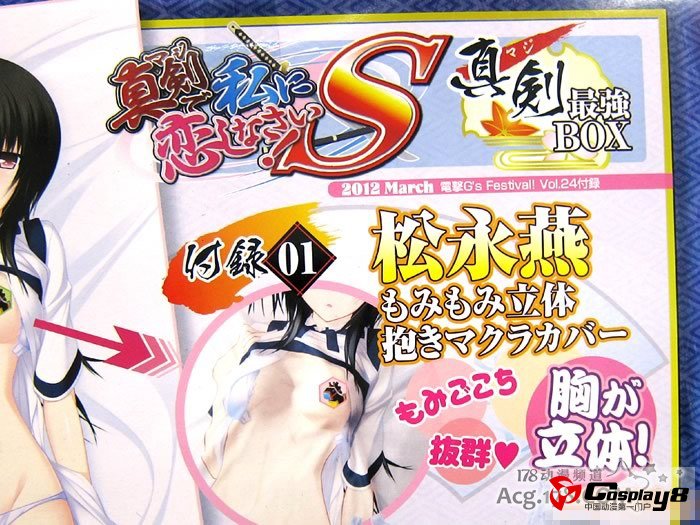《电击G's Festival!》附录特典烂手抱枕套