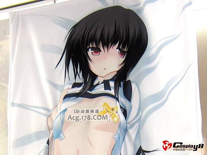 《电击G's Festival!》附录特典烂手抱枕套