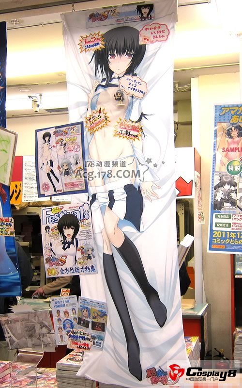 《电击G's Festival!》附录特典烂手抱枕套