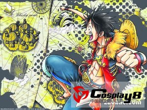 超人气漫画《海贼王》