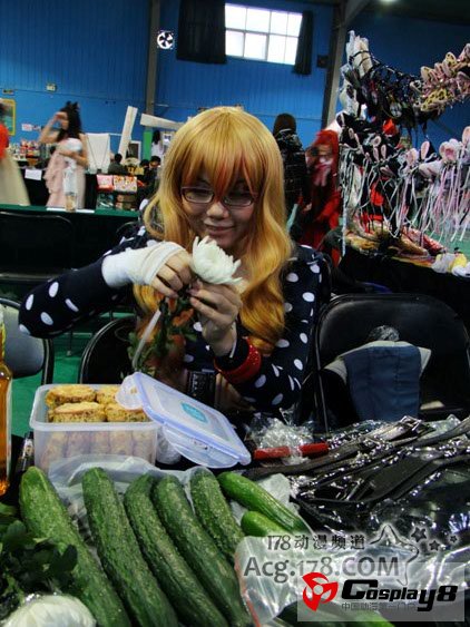 3·18帝都首届SomethingComic(S&M)漫展纪行