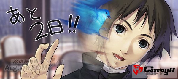 型月社大作《魔法使之夜》已发售
