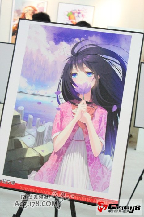 广州ADSL10同人展图片报道