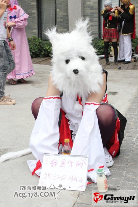 广州ADSL10同人展图片报道