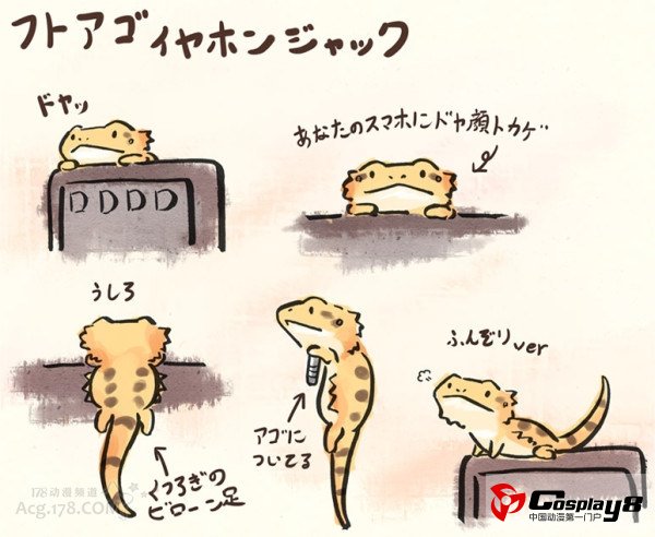猫型耳机孔饰品后哪些形状的耳机孔饰品可制作