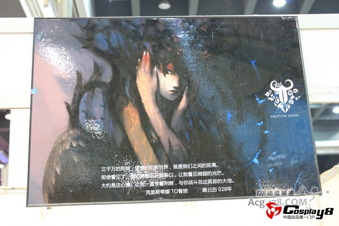 杭州HACG盛装嘉年华华丽图片报道