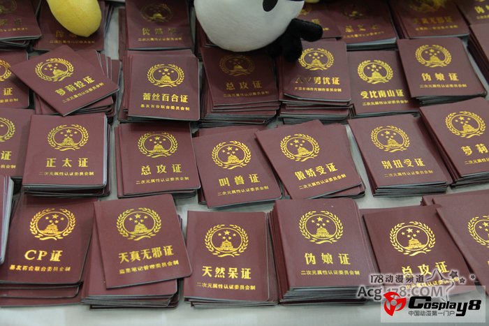 杭州HACG盛装嘉年华华丽图片报道