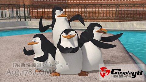 电影动画马达加斯加&功夫熊猫新续集制作中
