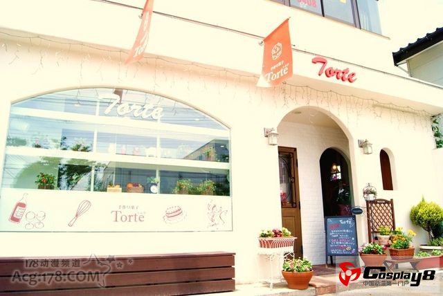 11区《手工蛋糕坊Torte》成死宅热议话题
