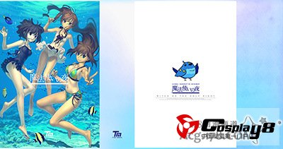 TYPE-MOON在C82现场贩卖的相关周边商品
