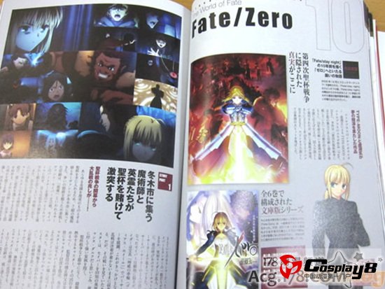 TYPE-MOON10周年纪念本希耶尔学姐变化大