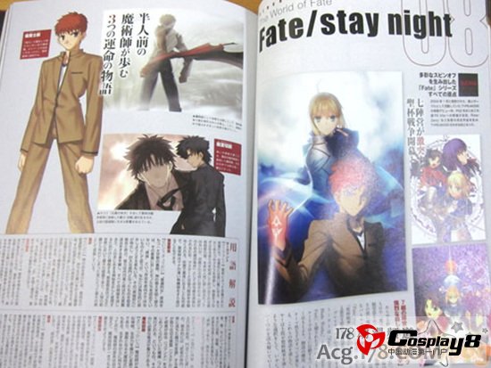 TYPE-MOON10周年纪念本希耶尔学姐变化大