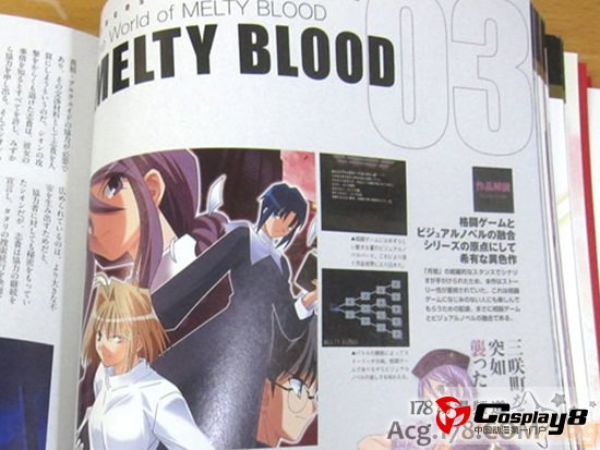 TYPE-MOON10周年纪念本希耶尔学姐变化大