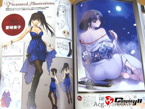 TYPE-MOON10周年纪念本希耶尔学姐变化大