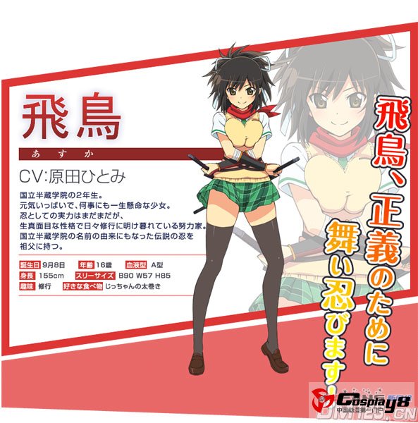 TV动画《闪乱神乐》人设和制作、声优PV公布