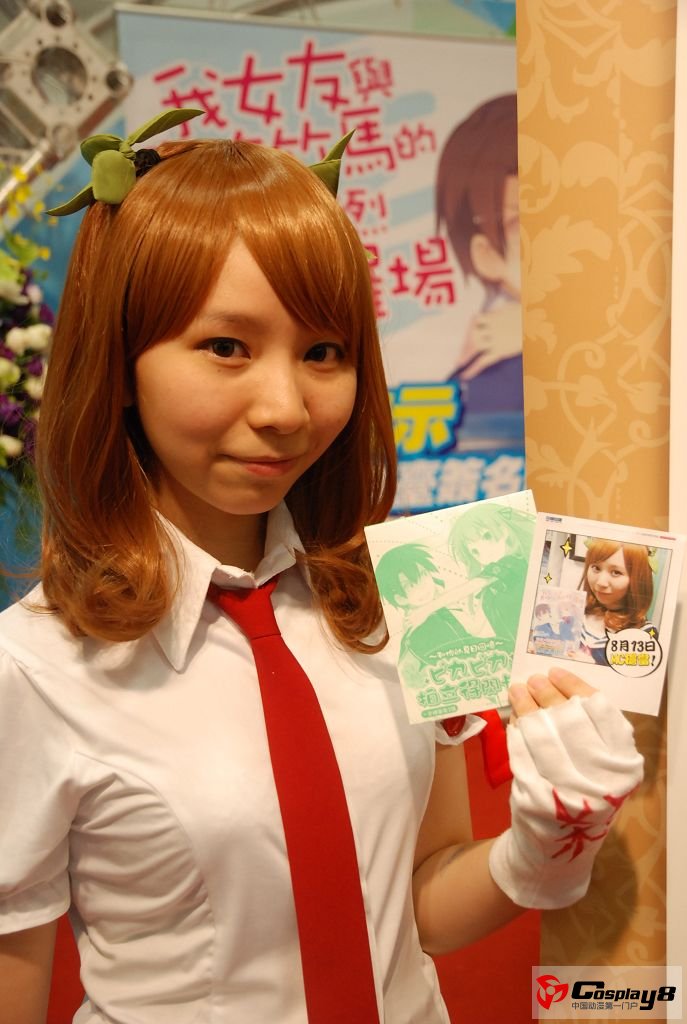 2012年第13届台湾漫画博览会现场图片赏