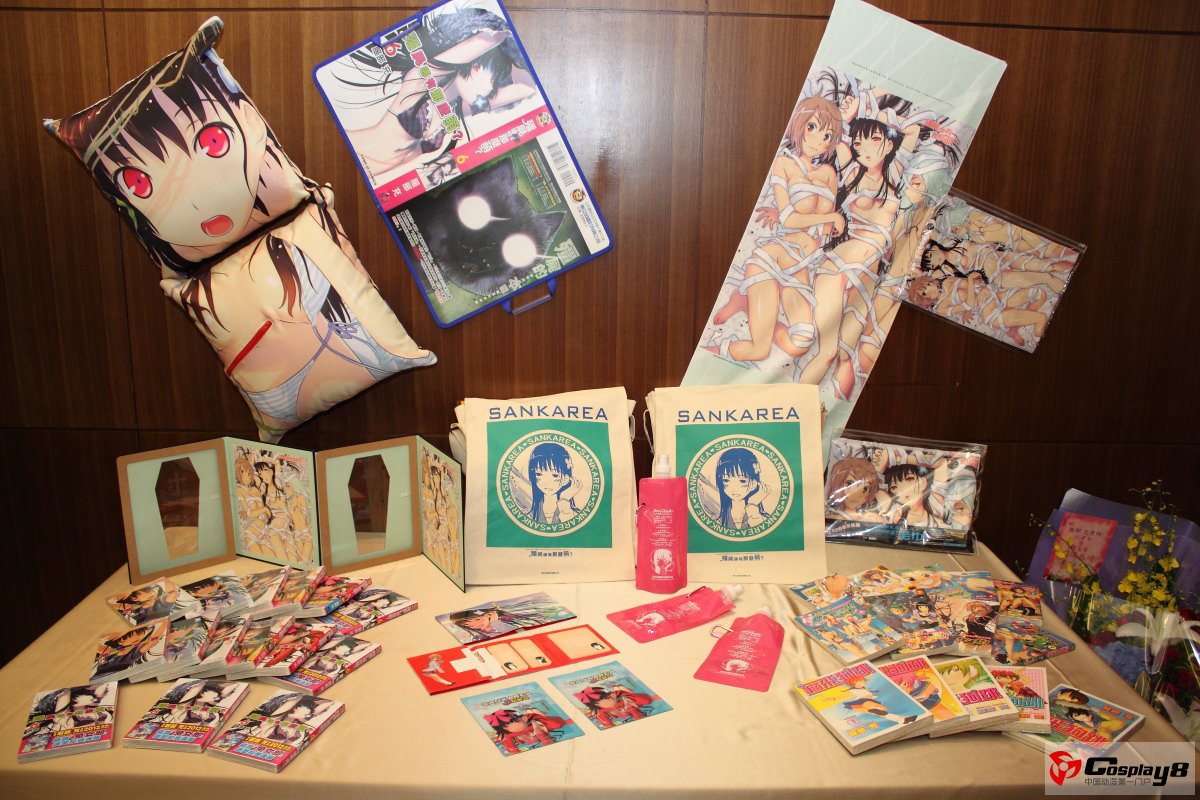 2012年第13届台湾漫画博览会现场图片赏