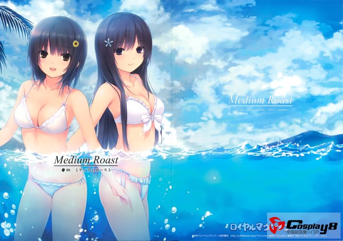 咖啡贵族的C82新刊《Medium Roast》