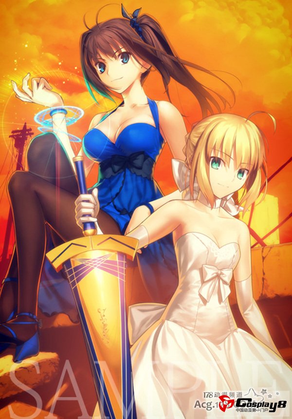 《TYPE-MOON Fes.》BD-BOX公开封面和插图