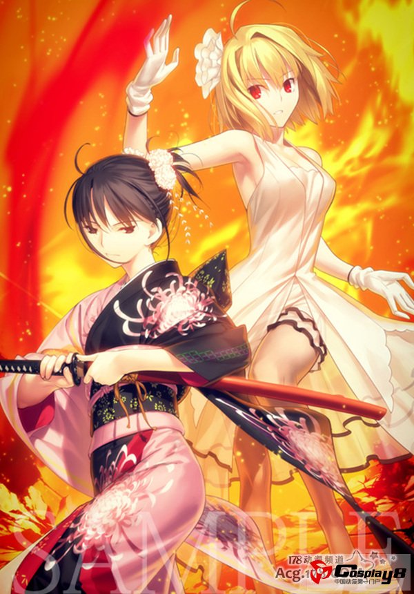 《TYPE-MOON Fes.》BD-BOX公开封面和插图