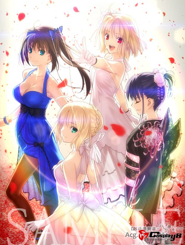 《TYPE-MOON Fes.》BD-BOX公开封面和插图