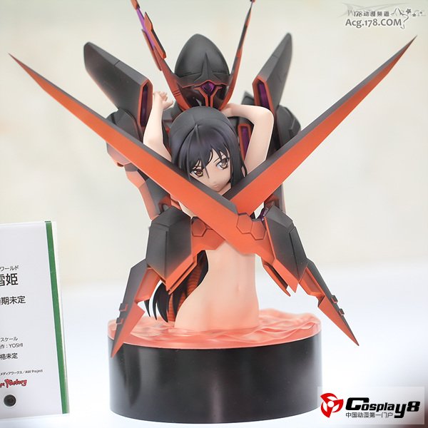 WF2013冬季展上奸笑社各种展品悉数观看