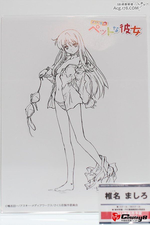 WF2013冬季展上糟糕手办各种展品悉数观看