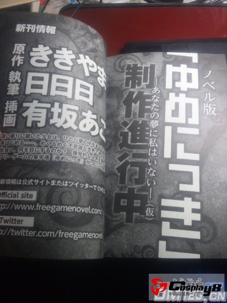 游戏《梦日记》宣布制作小说版