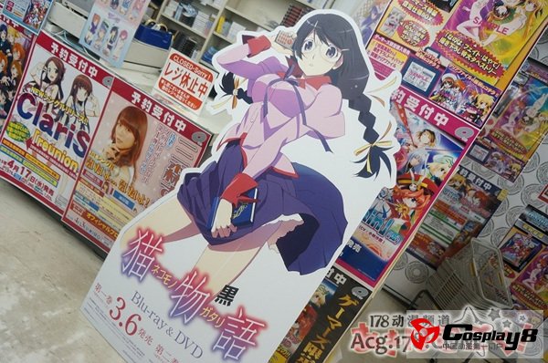 动画《猫物语(黑)》BD/DVD上卷已发售