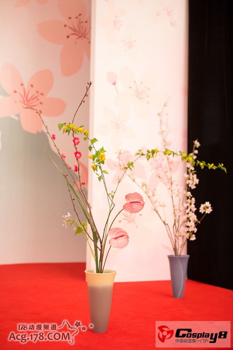“桜祭りin上海2013”体会日本无穷魅力