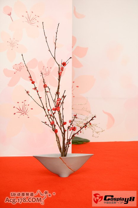 “桜祭りin上海2013”体会日本无穷魅力